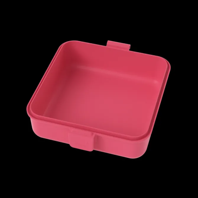 Best Monbento Container Snacky